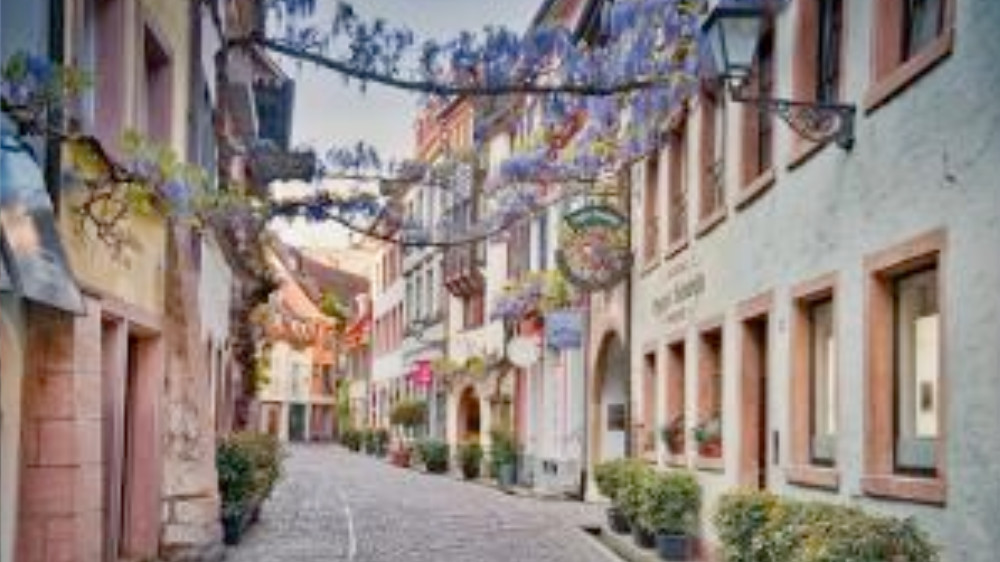 radreise-badischer Weinradweg